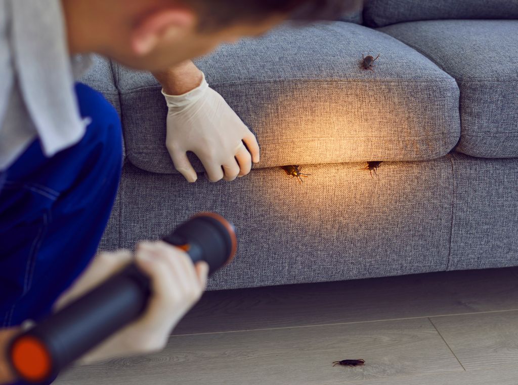 Moderne Kammerjäger-Ausrüstung und Technik