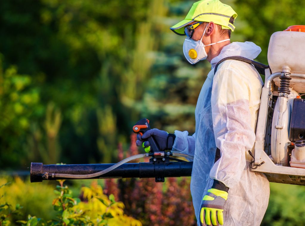 Kammerjäger-Beratung und Planungsservice